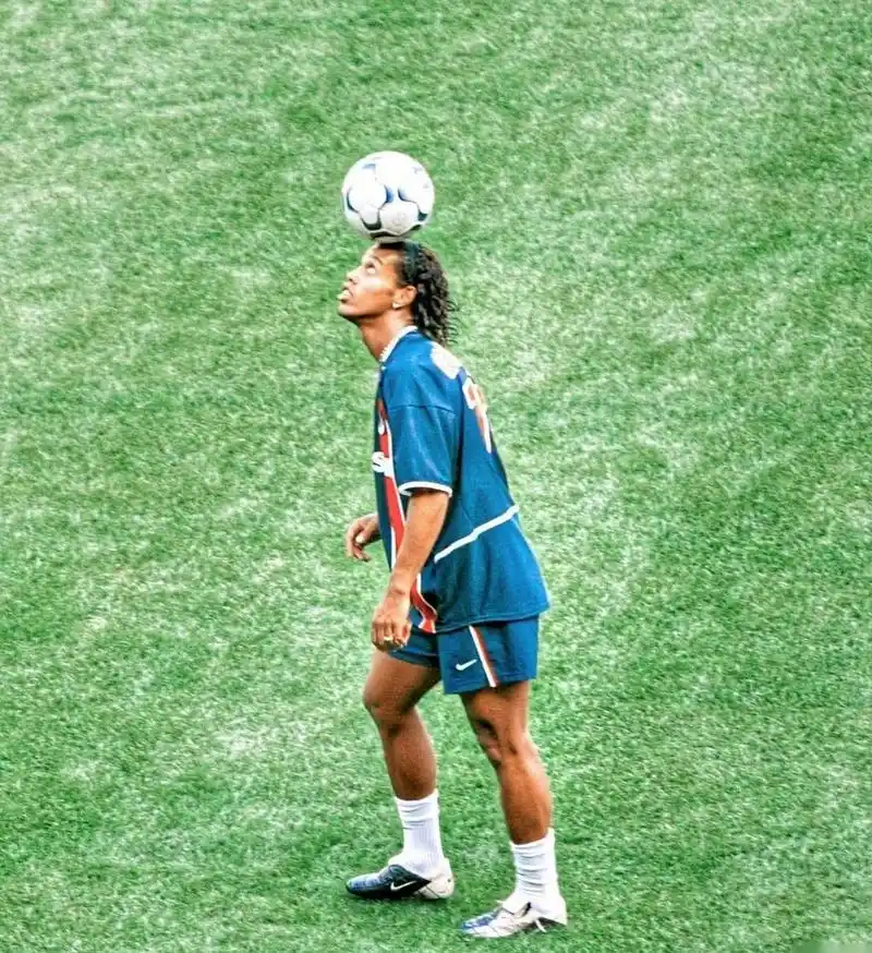 研究表明 研究表明